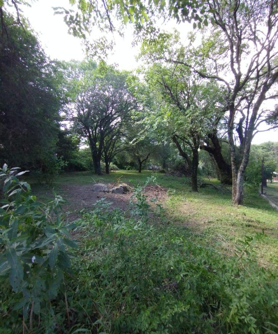 Foto de LOTE LLANO EN VENTA RIO CEBALLOS, imagen 4