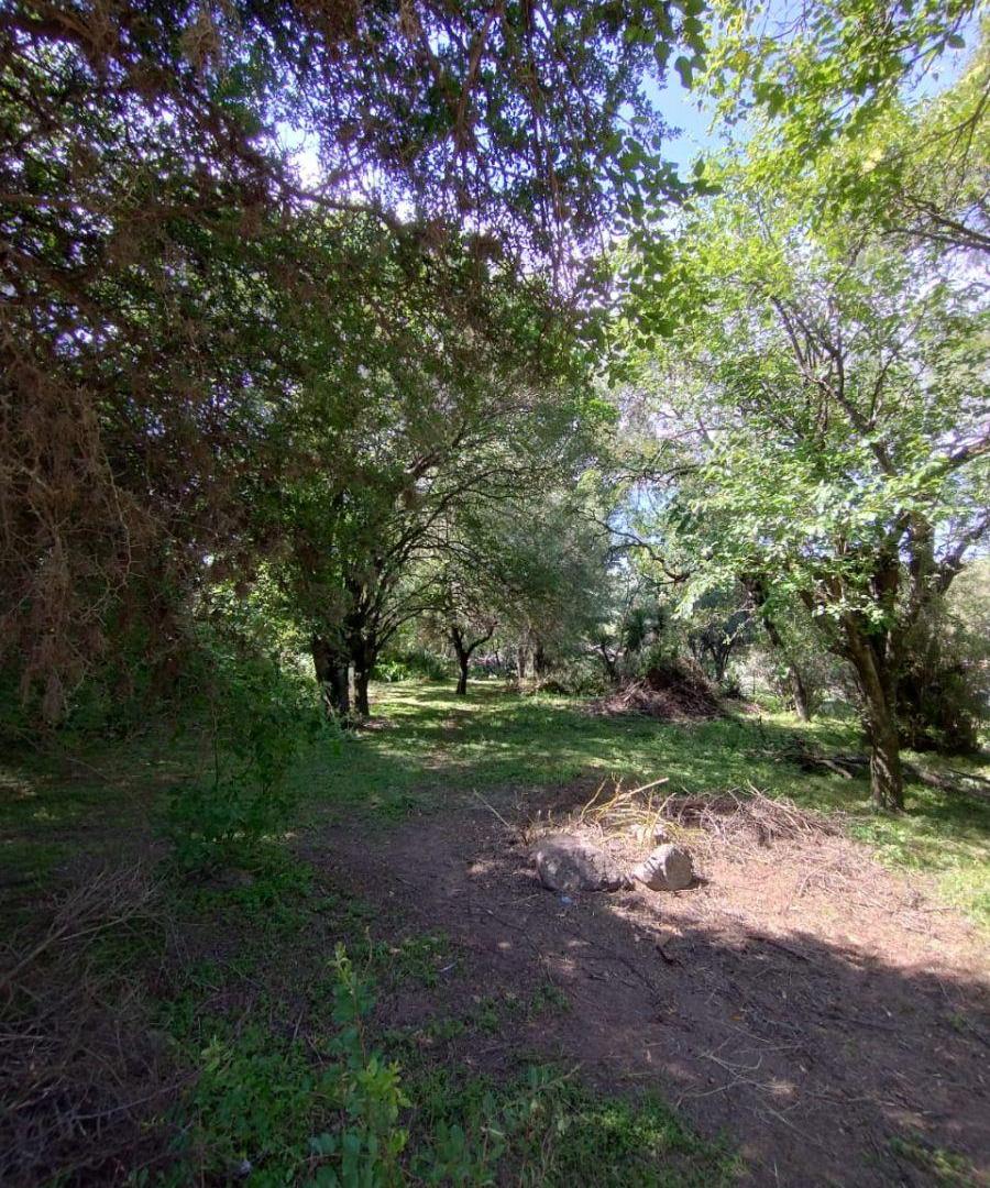 Foto de LOTE LLANO EN VENTA RIO CEBALLOS, imagen 1