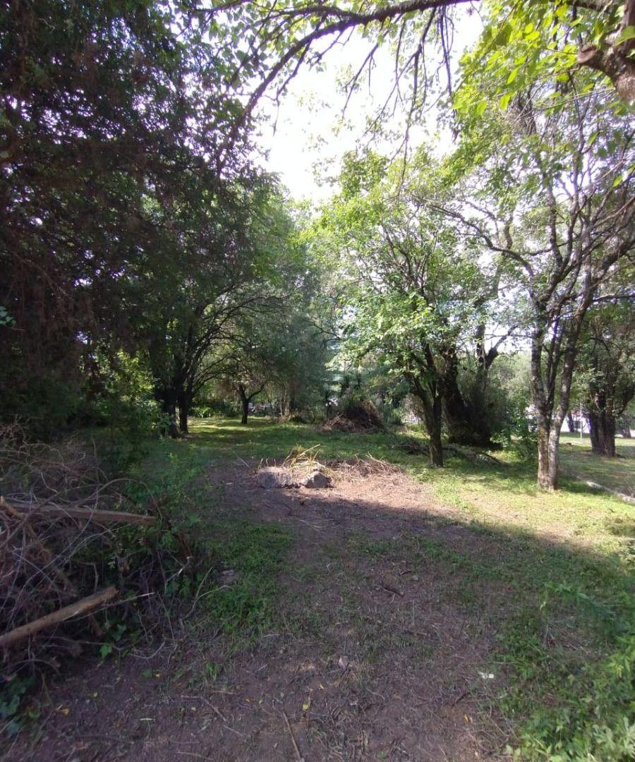 Foto de LOTE LLANO EN VENTA RIO CEBALLOS, imagen 2