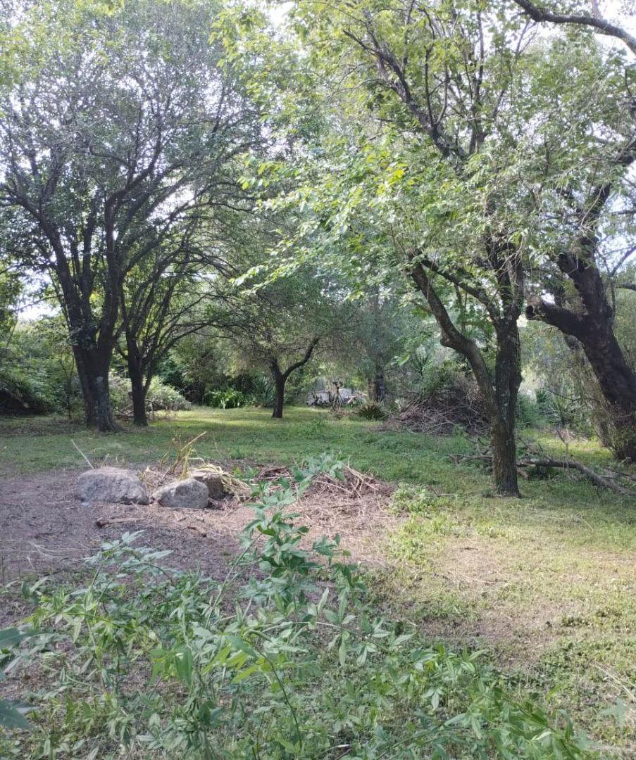Foto de LOTE LLANO EN VENTA RIO CEBALLOS, imagen 3