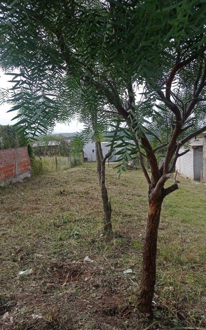 Foto de LOTE LLANO, SE VENDE, SE RECIBE RODADOS, imagen 5
