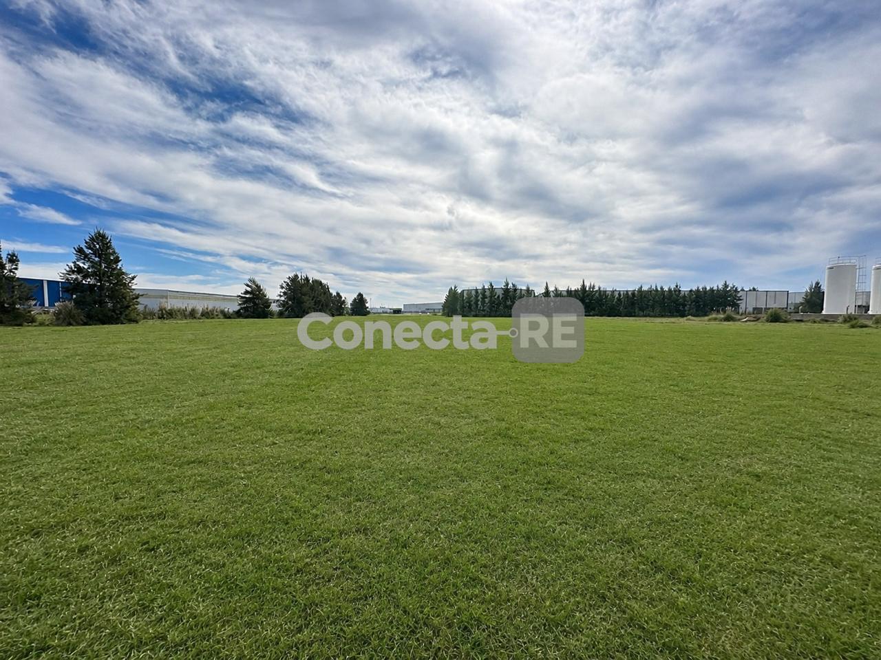 Foto de Terrenos Industriales desde 5900 m²en Venta –Juntos o Separados – Polo, imagen 2