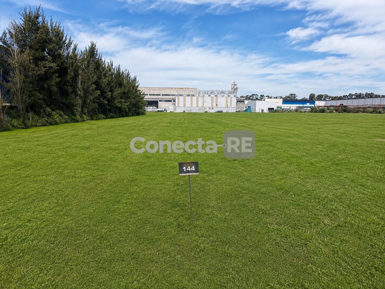 Foto de Terrenos Industriales desde 5000 m²en Venta – Juntos o Separados – Polo, imagen 2