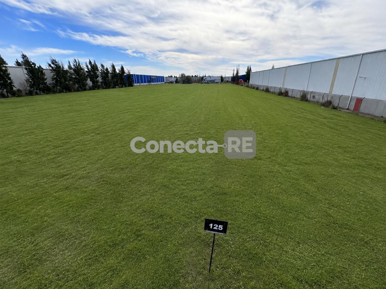 Foto de Terreno Industrial 4.921 m² en Venta – Polo Industrial Ezeiza, imagen 2