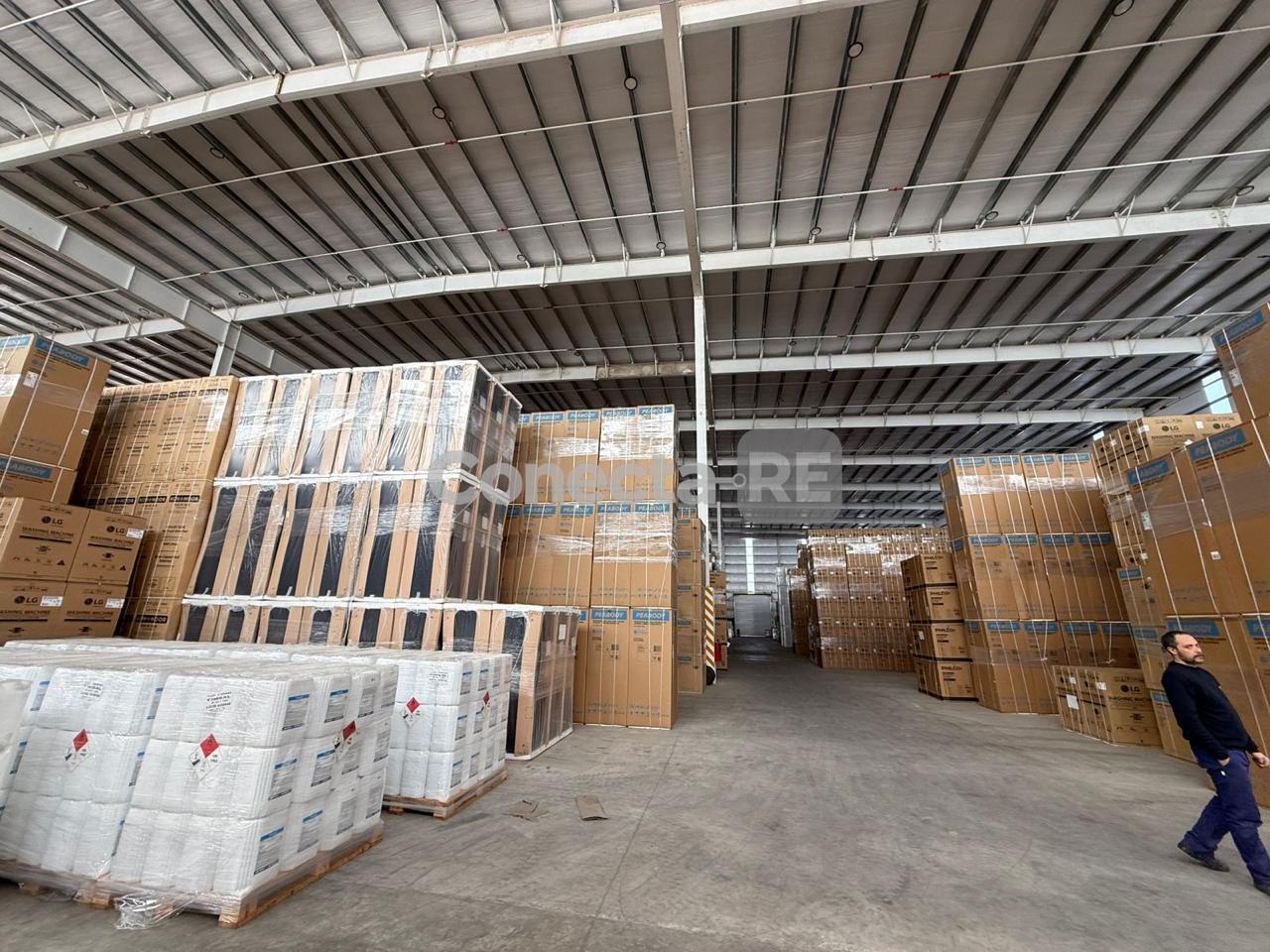Foto de Depósito 6.000 m² en Alquiler - Polo Industrial Ezeiza, imagen 4