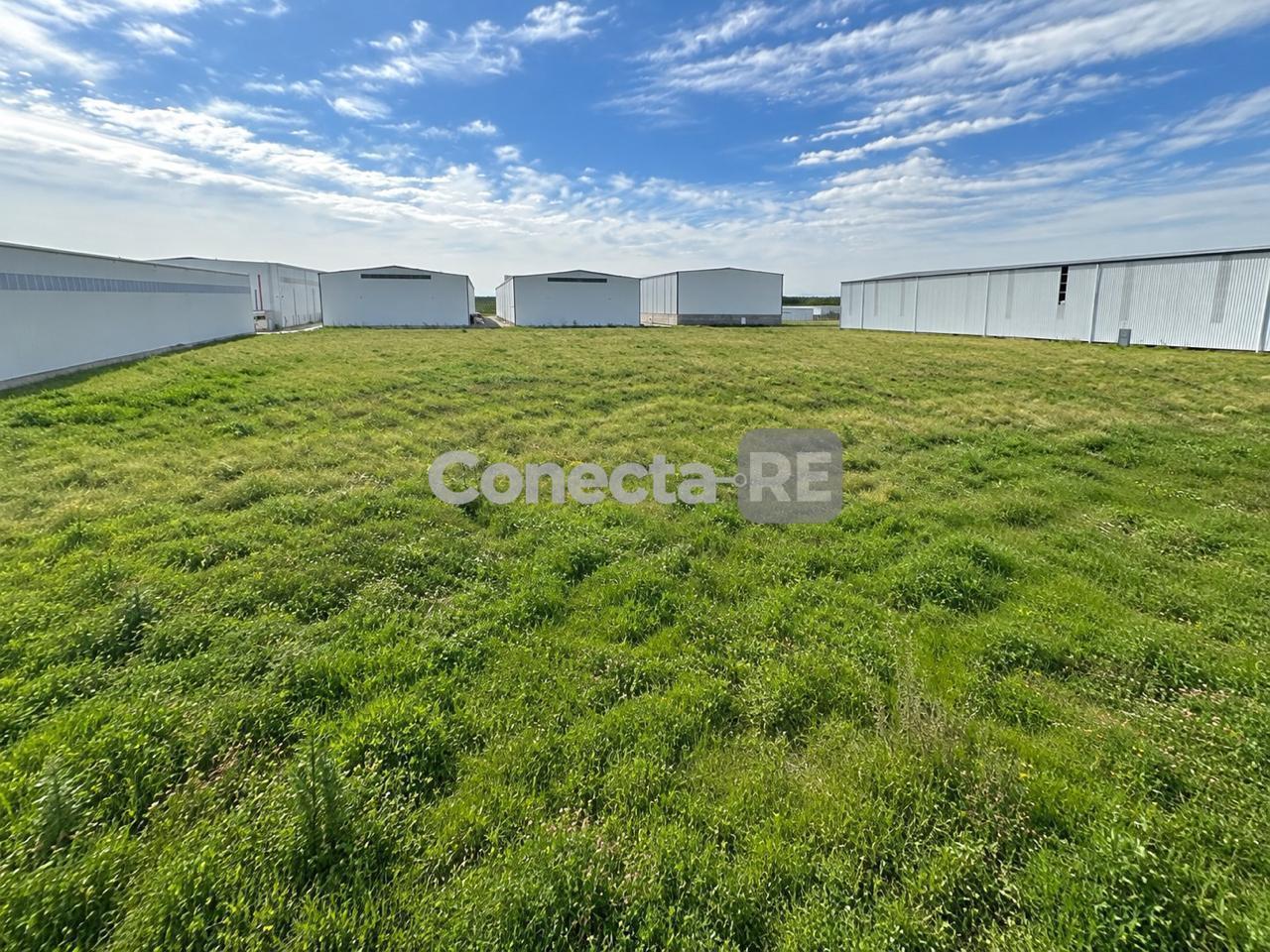 Foto de Terreno Industrial 5000 m² en Venta – Polo Industrial Carlos Spegazzini, imagen 4