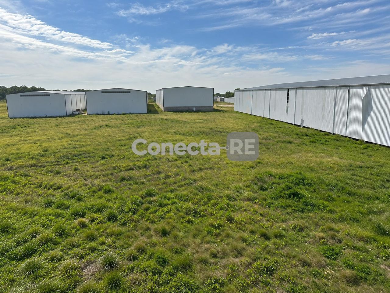 Foto de Terreno Industrial 5000 m² en Venta – Polo Industrial Carlos Spegazzini, imagen 2