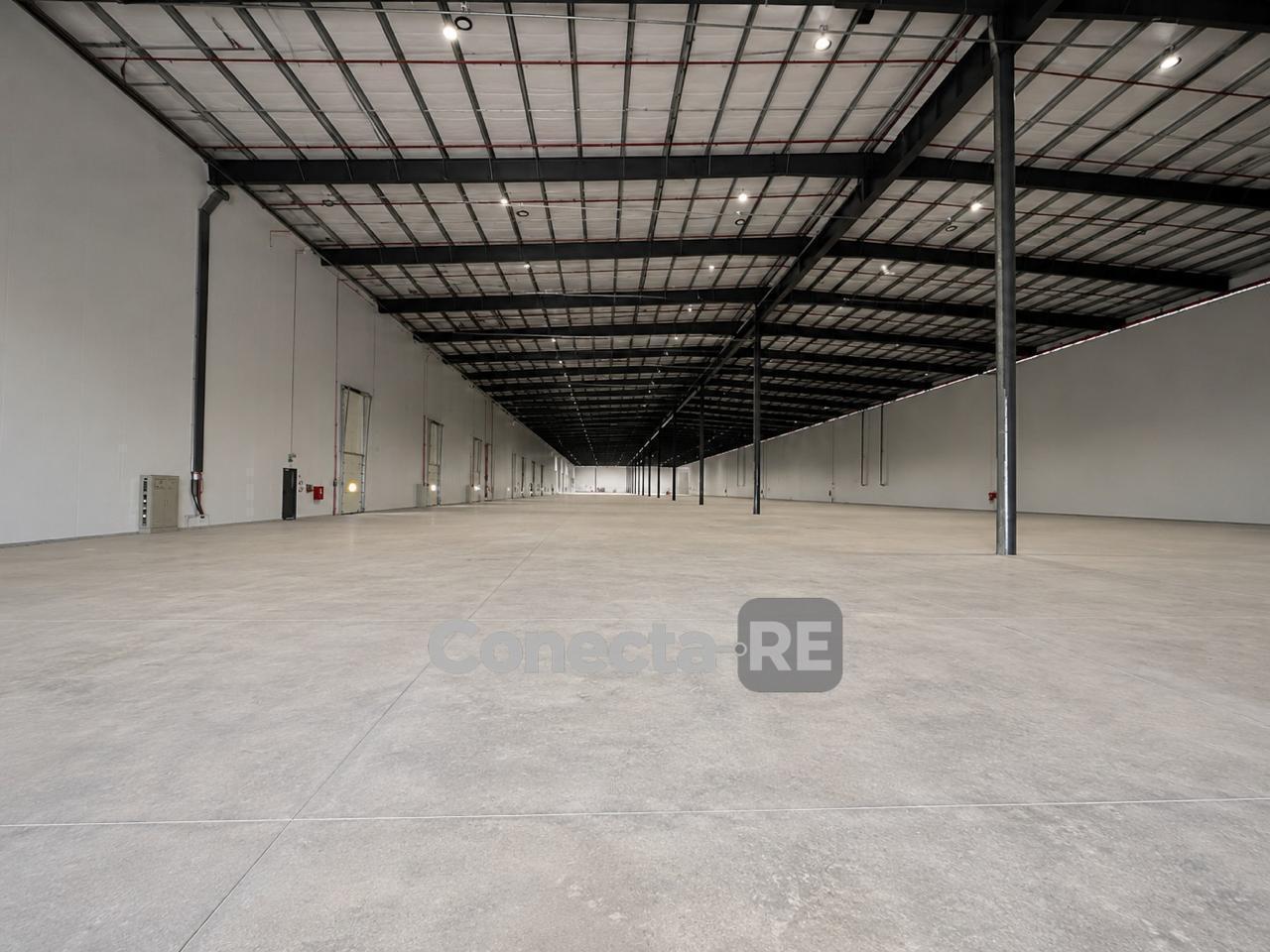 Foto de Depósito 15.000 m² Premium a Estrenar en Alquiler - Ruta Ezeiza, imagen 3