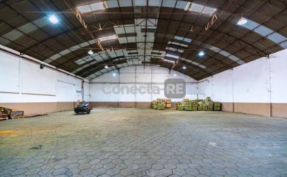 Foto de Depósito 1185 m² en Alquiler dentro de Parque Industrial en Jose León, imagen 4