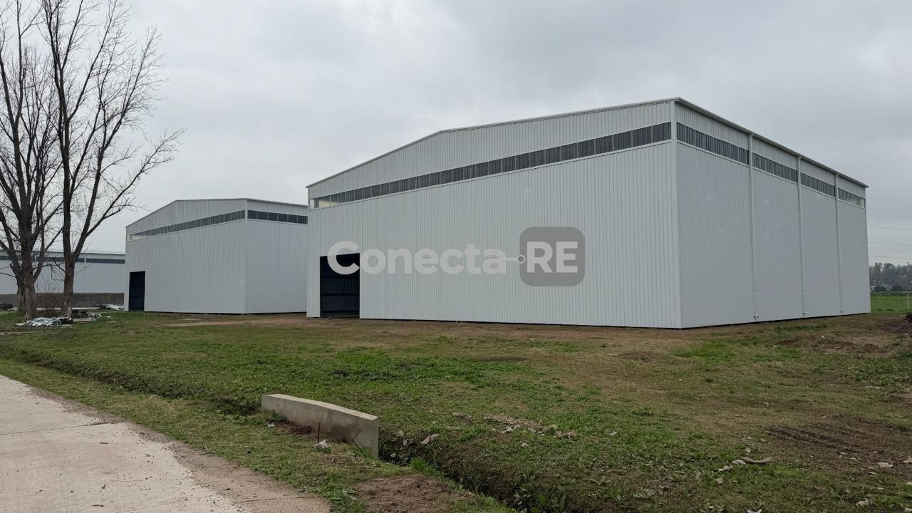 Foto de Deposito 1000 m² a Estrenar en Alquiler Parque Industrial Ruta 24, imagen 5