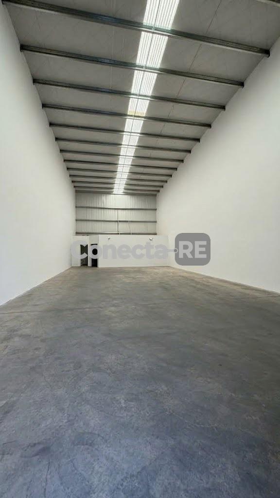 Foto de Depósito 200 m² en Alquiler dentro de Predio Cerrado en Canning, imagen 4