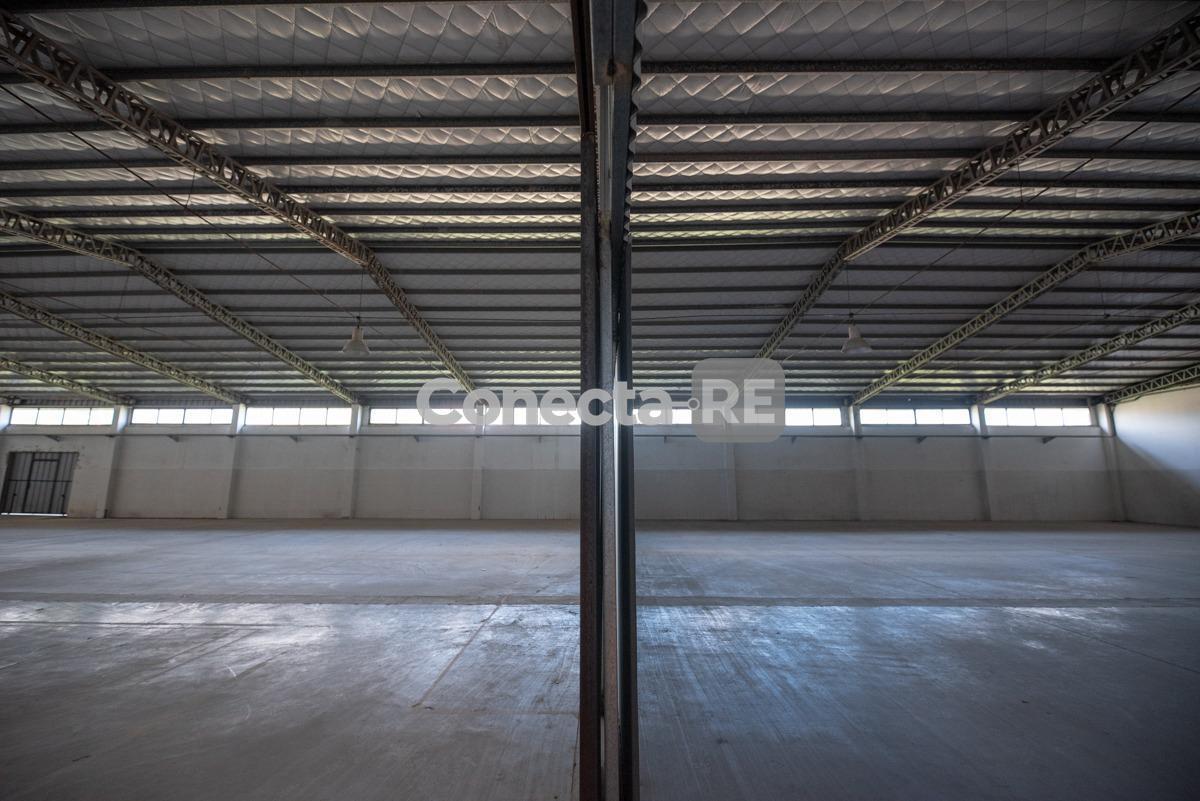 Foto de Depósito 1200 m² en Alquiler dentro de Predio Cerrado en Canning, imagen 5
