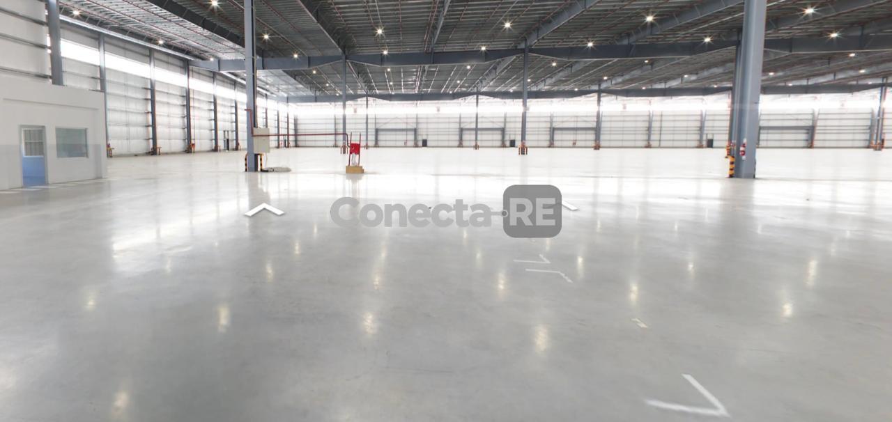 Foto de Depósito 9000 m² en Alquiler dentro de Predio Cerrado en General Pacheco, imagen 4