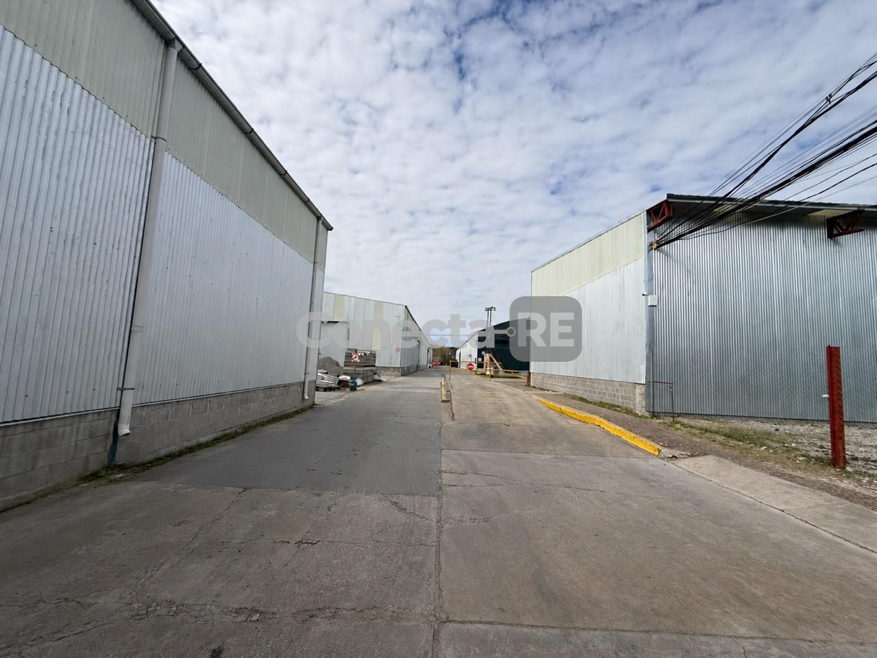 Foto de Depósito 1125 m² en Alquiler Próximo Panamericana, imagen 5