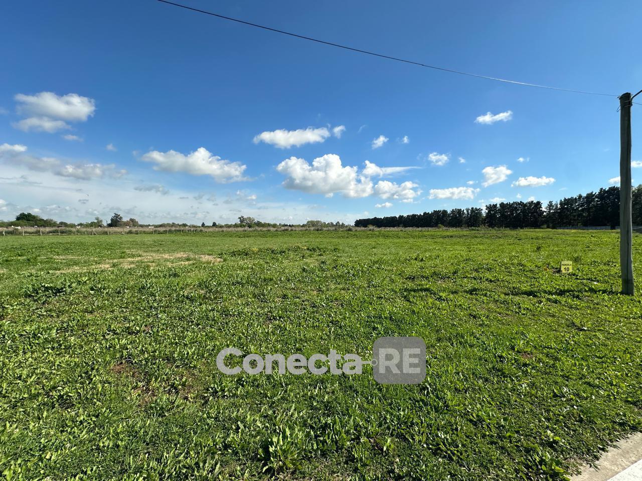Foto de Terrano 12800 m² en Venta dentro de Predio Cerrado en General Rodriguez, imagen 2