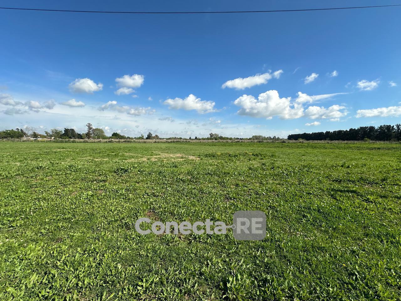 Foto de Terrano 4450 m² en Venta dentro de Predio Cerrado en General Rodriguez, imagen 4