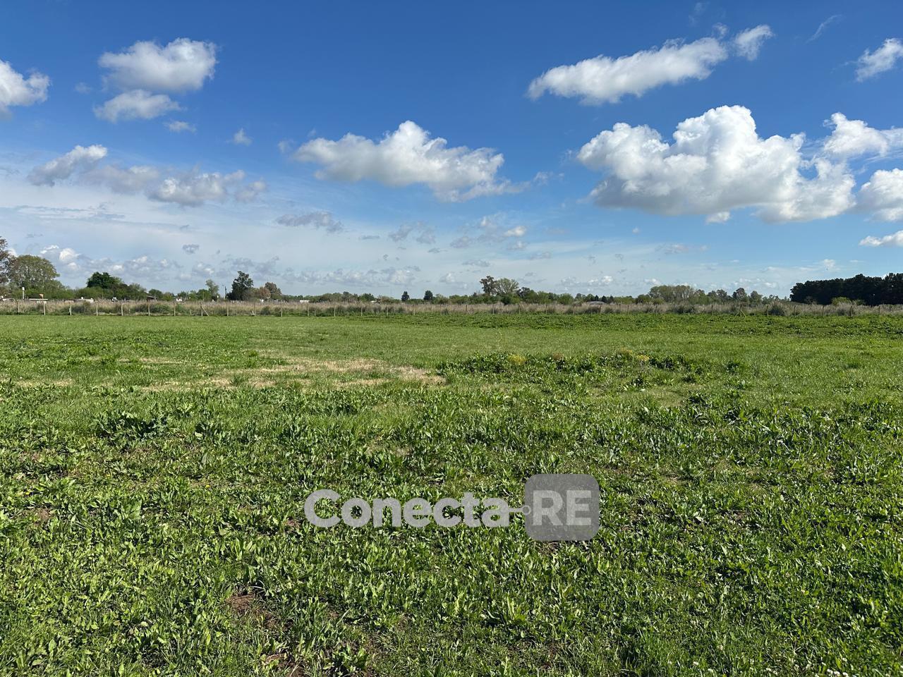 Foto de Terrano 3340 m² en Venta dentro de Predio Cerrado en General Rodriguez, imagen 4