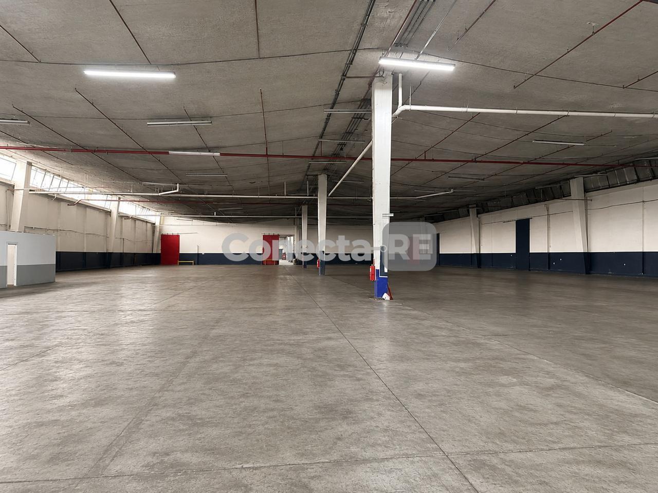 Foto de Depósito 3.000 m² en Alquiler - Predio Cerrado - Hurlingham, imagen 5