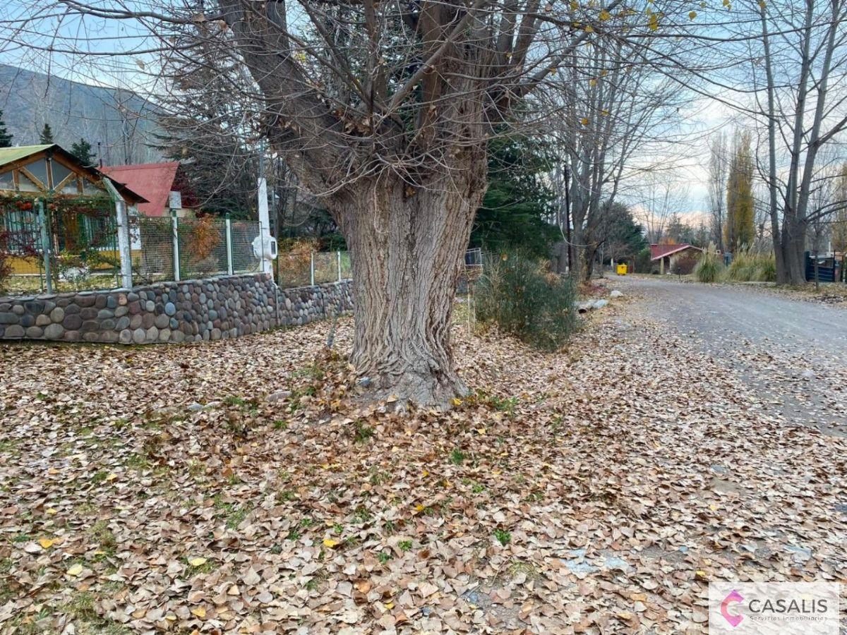 Foto de Casa en venta en Potrerillos Mendoza, imagen 3