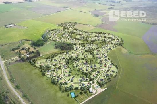Foto de Terreno Las Verbenas, imagen 1