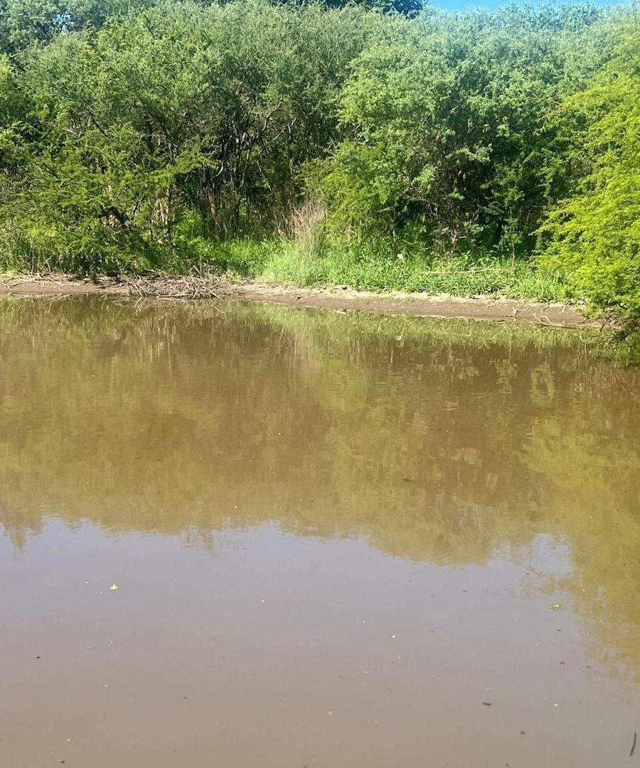 Foto de VENTA TERRENO SALSIPUEDES, imagen 1