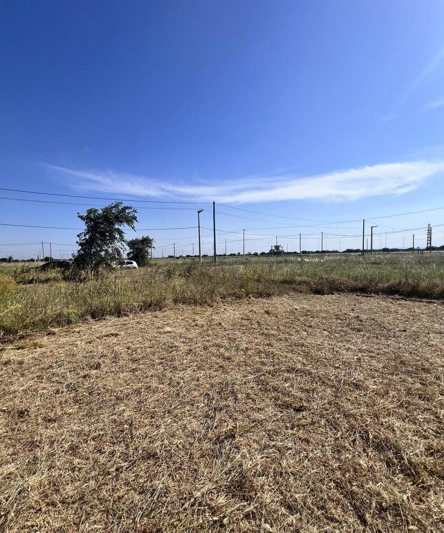 Foto de VENTA LOTE 50 HA INDUSTRIALES RUTA 5 – APTO LOGÍSTICA E INDUSTRIA, imagen 3