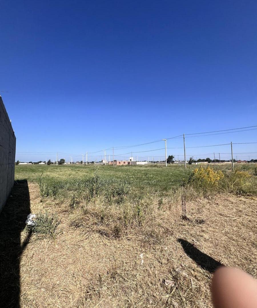Foto de VENTA LOTE 50 HA INDUSTRIALES RUTA 5 – APTO LOGÍSTICA E INDUSTRIA, imagen 2