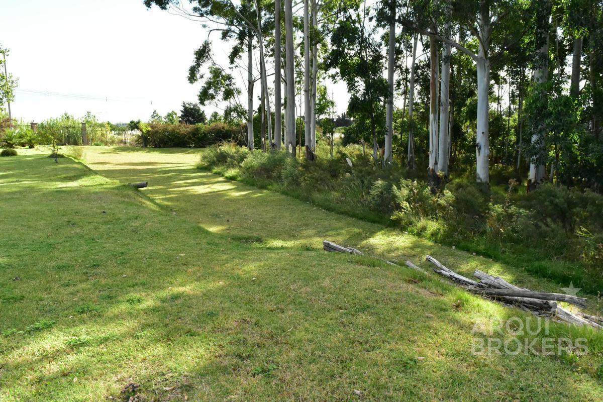 Foto de Apartamento penthouse de dos dormitorios en venta en Haras del Lago, imagen 5