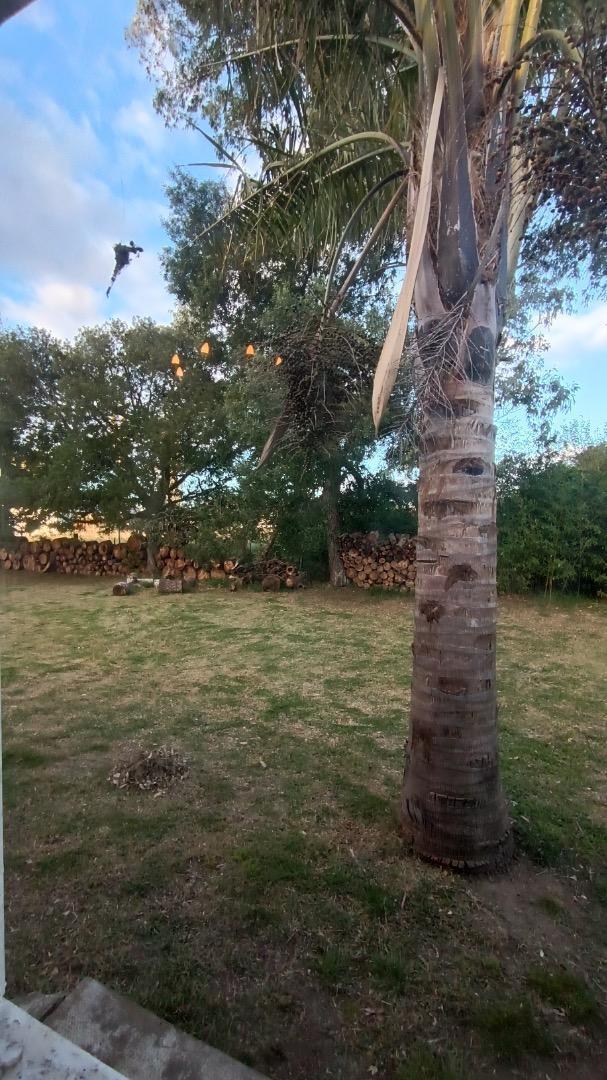 Foto de Casa en venta sobre lote de más de 8000m2, imagen 5