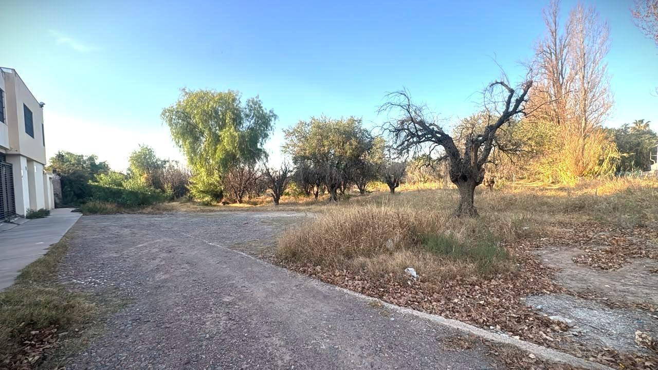 Foto de Oportunidad!!! Lote para Desarrollo Inmobiliario 1500 m2, Alto Las, imagen 3