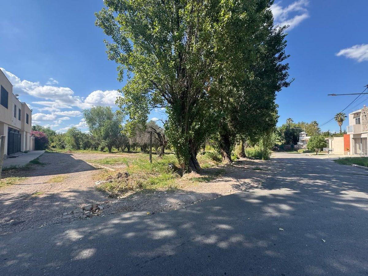 Foto de Oportunidad!!! Lote para Desarrollo Inmobiliario 1500 m2, Alto Las, imagen 1