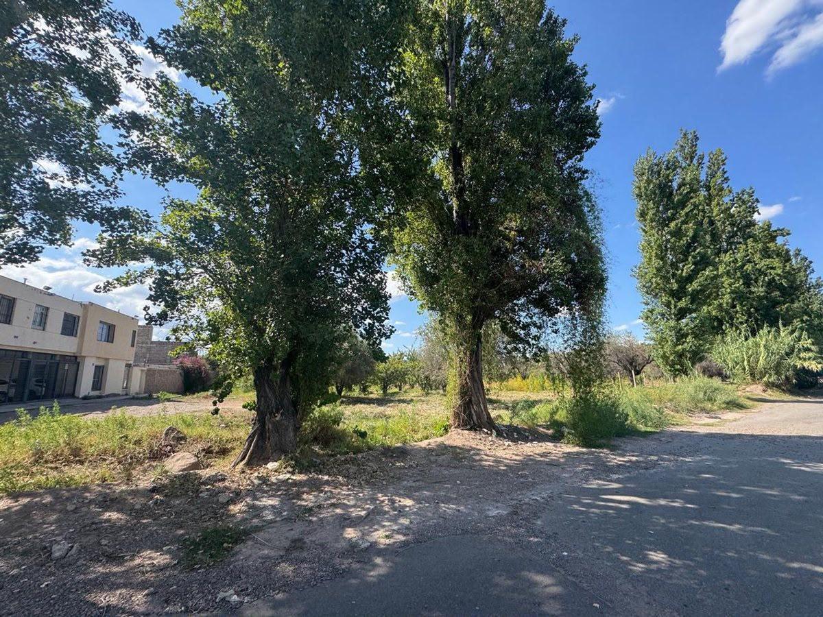 Foto de Oportunidad!!! Lote para Desarrollo Inmobiliario 1500 m2, Alto Las, imagen 2