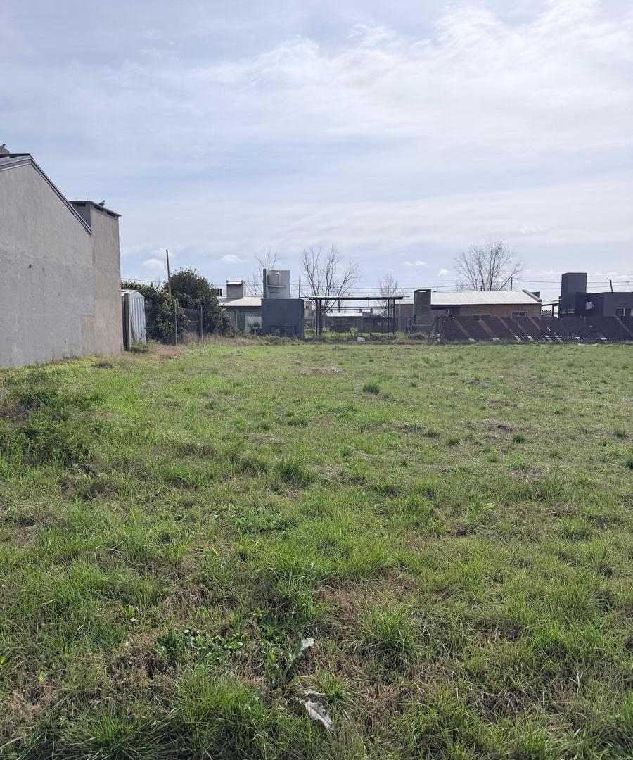 Foto de Terreno en tierra de sueños 3, imagen 2