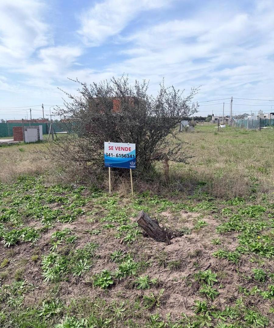 Foto de Terreno en villa amelia, imagen 4
