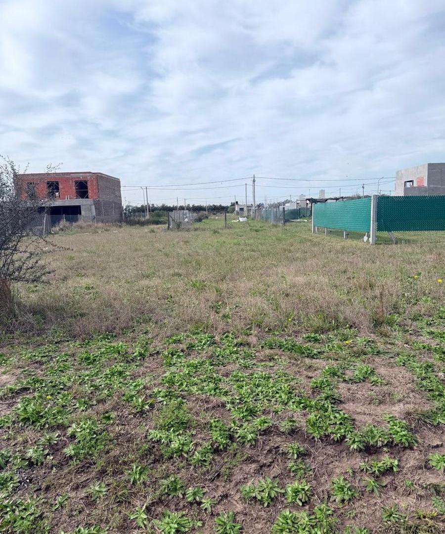 Foto de Terreno en villa amelia, imagen 1