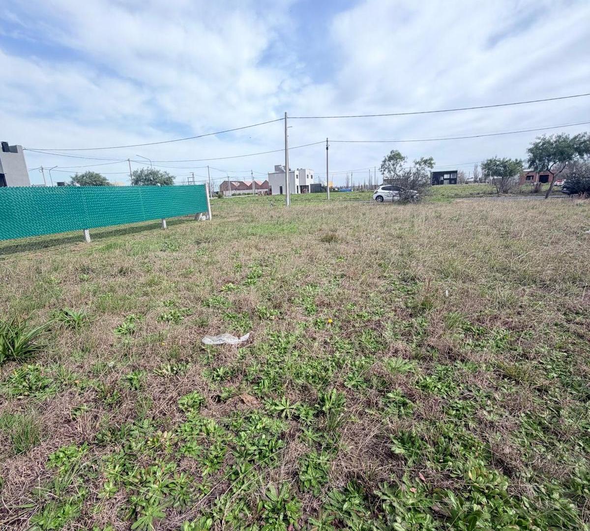 Foto de Terreno en villa amelia, imagen 2