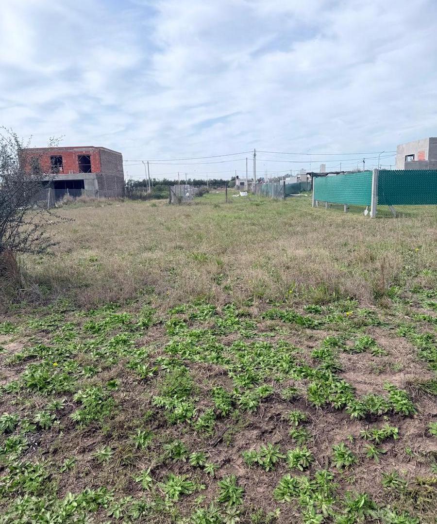 Foto de Terreno en villa amelia, imagen 5