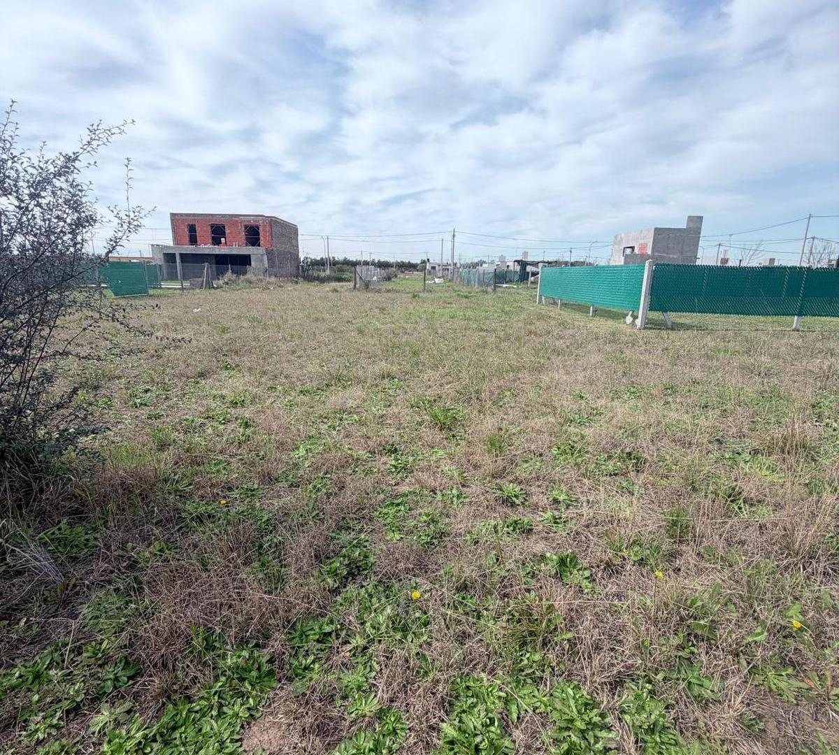 Foto de Terreno en villa amelia, imagen 3
