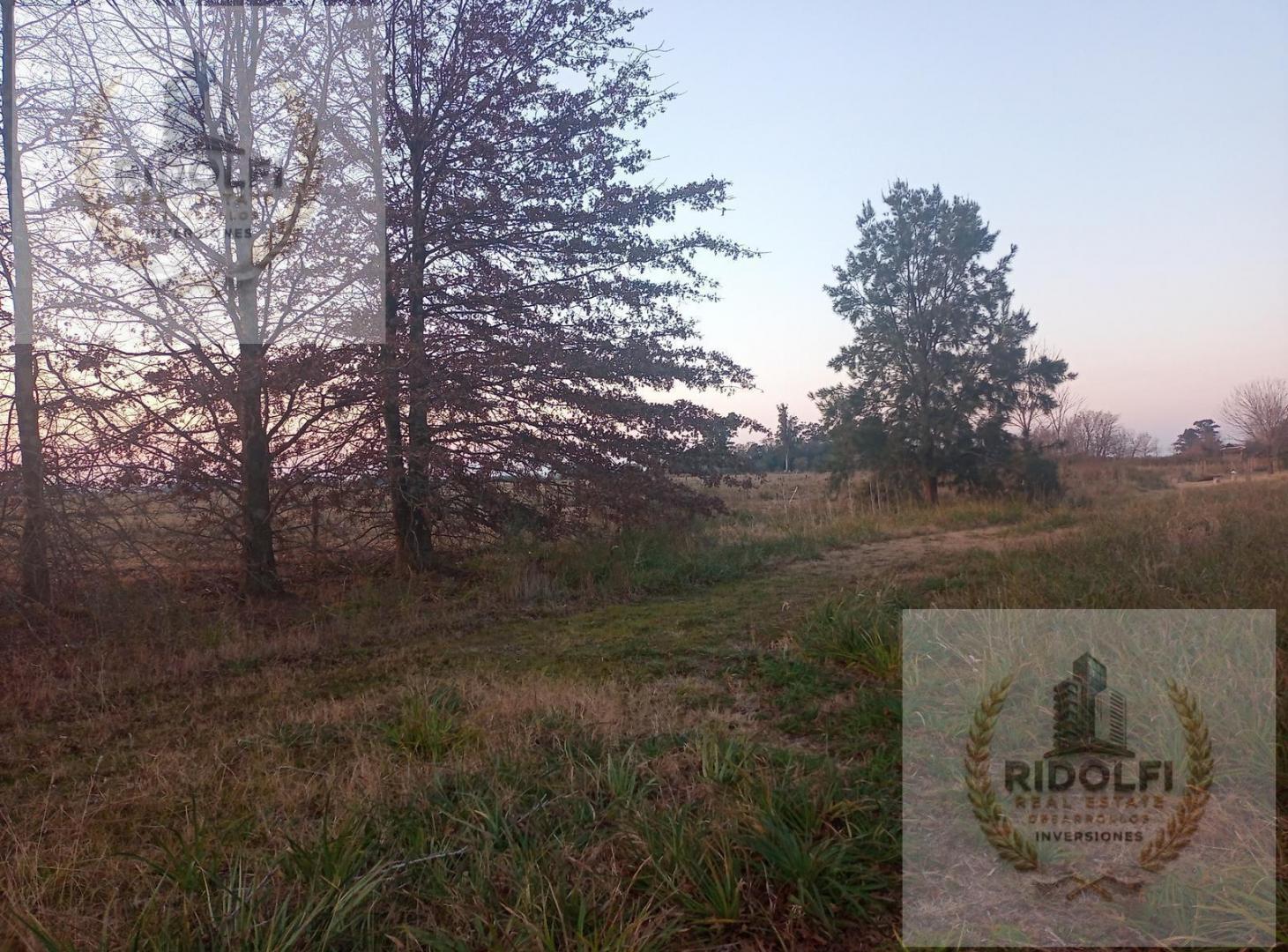 Foto de Venta lote chacra 3800 M2 Los Fresnos Semi Cerrado en Villa Ruiz, imagen 5
