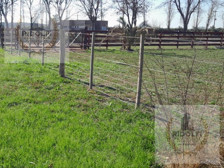 Foto de Venta lote chacra 3800 M2 Los Fresnos Semi Cerrado en Villa Ruiz, imagen 2