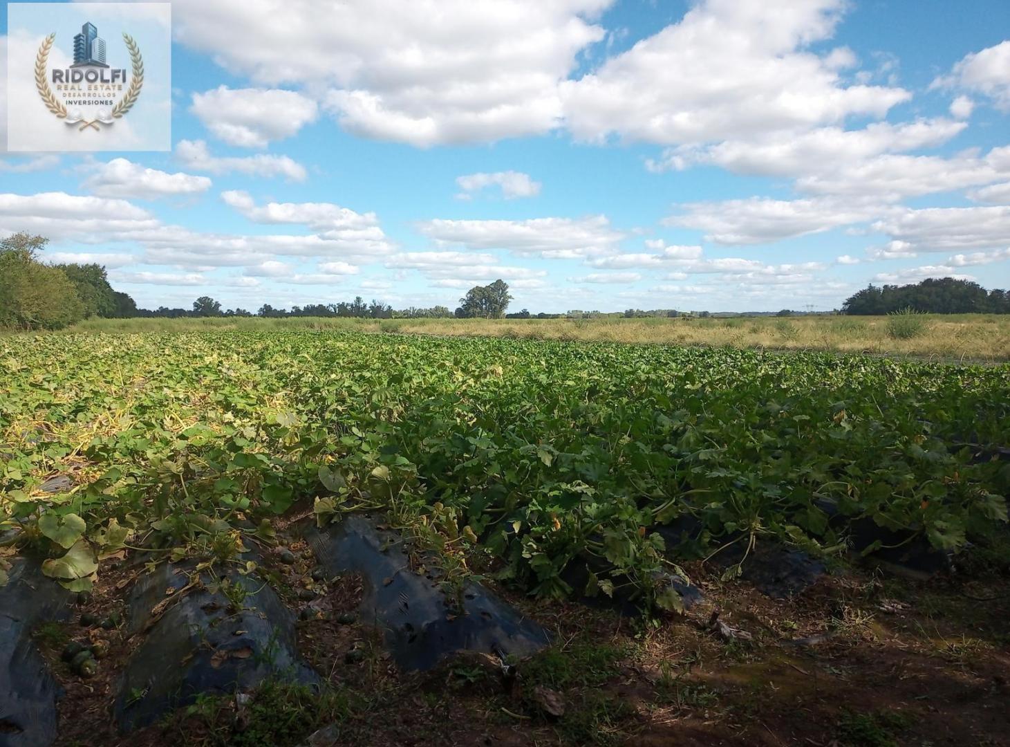 Foto de Campo Venta General Rodríguez 31.2 ha Apto Desarrollo Oportunidad, imagen 3