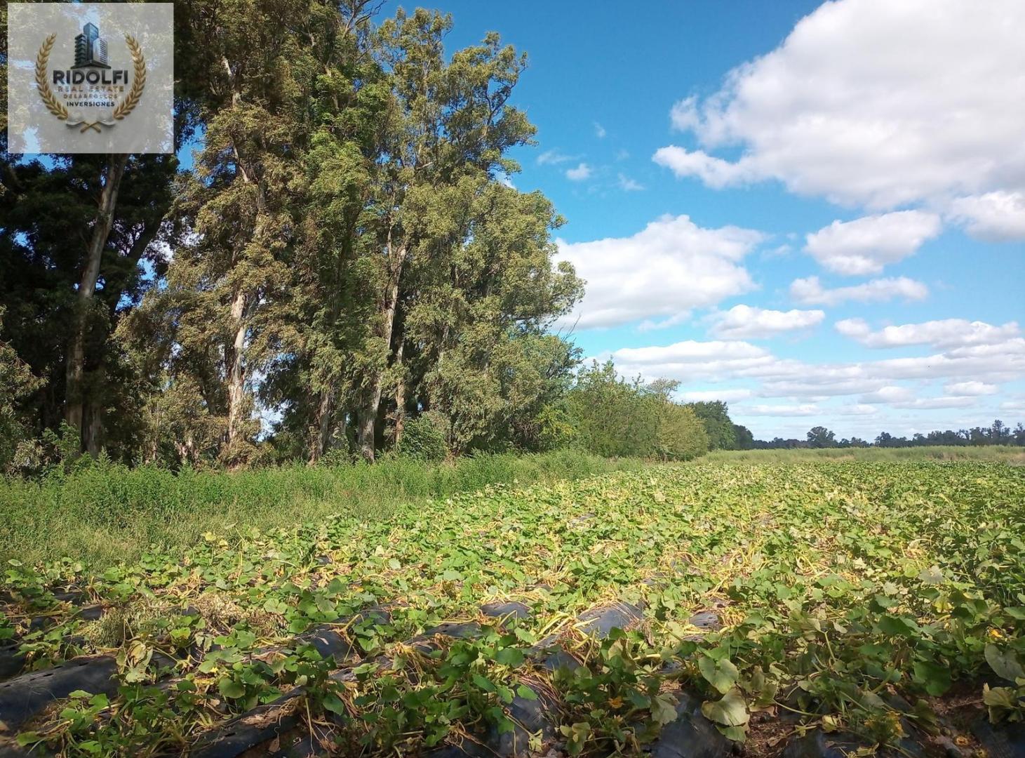 Foto de Campo Venta General Rodríguez 31.2 ha Apto Desarrollo Oportunidad, imagen 2