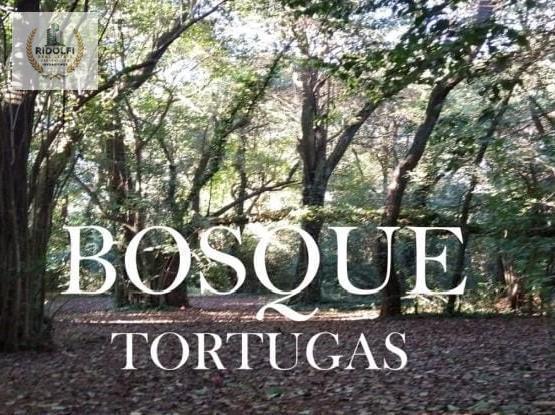 Foto de Departamento Venta Bosque Tortugas 4 Ambientes terraza en Pozo, imagen 2