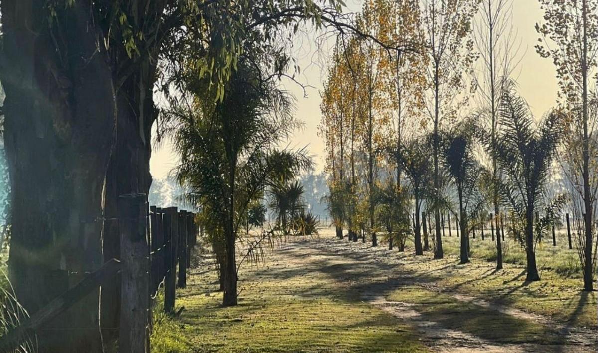 Foto de Venta Terreno en Santa María de Lobos Club de Polo, imagen 5