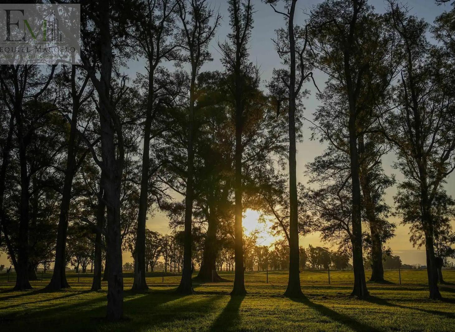 Foto de Venta Lote de 1.483 m² en El Estribo, Tres Pinos | Naturaleza, amplitud, imagen 5