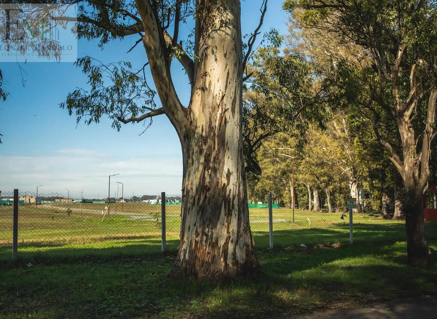 Foto de Venta Lote de 1.483 m² en El Estribo, Tres Pinos | Naturaleza, amplitud, imagen 1