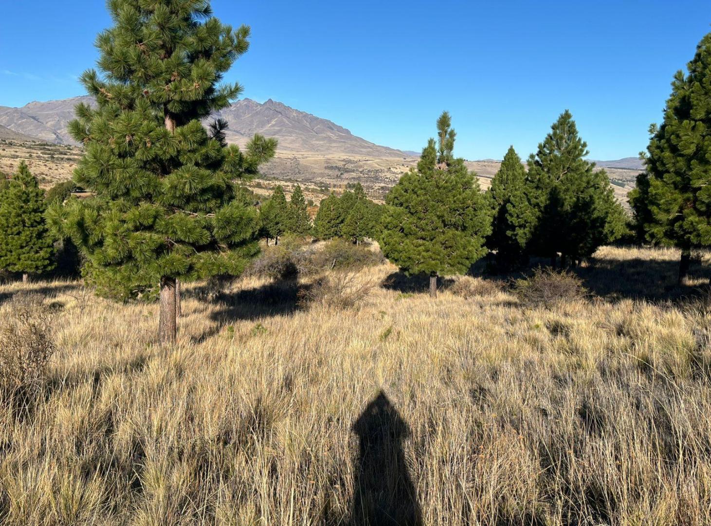 Foto de Venta Terreno Loteo con Mensura en Trevelin, Chubut, imagen 2