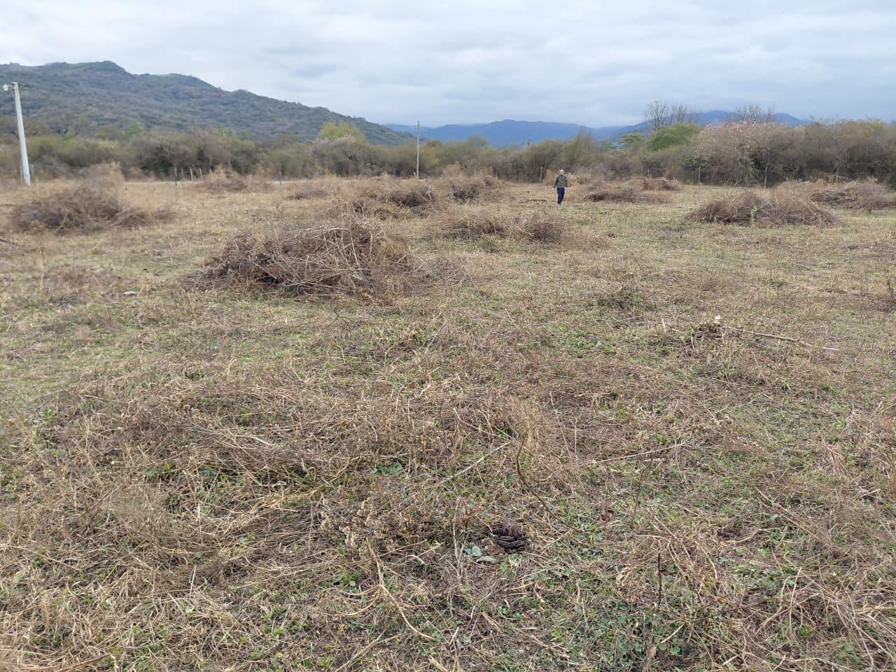 Foto de Terreno de 1000 m2 en Urbanización Valle Alegre, imagen 3