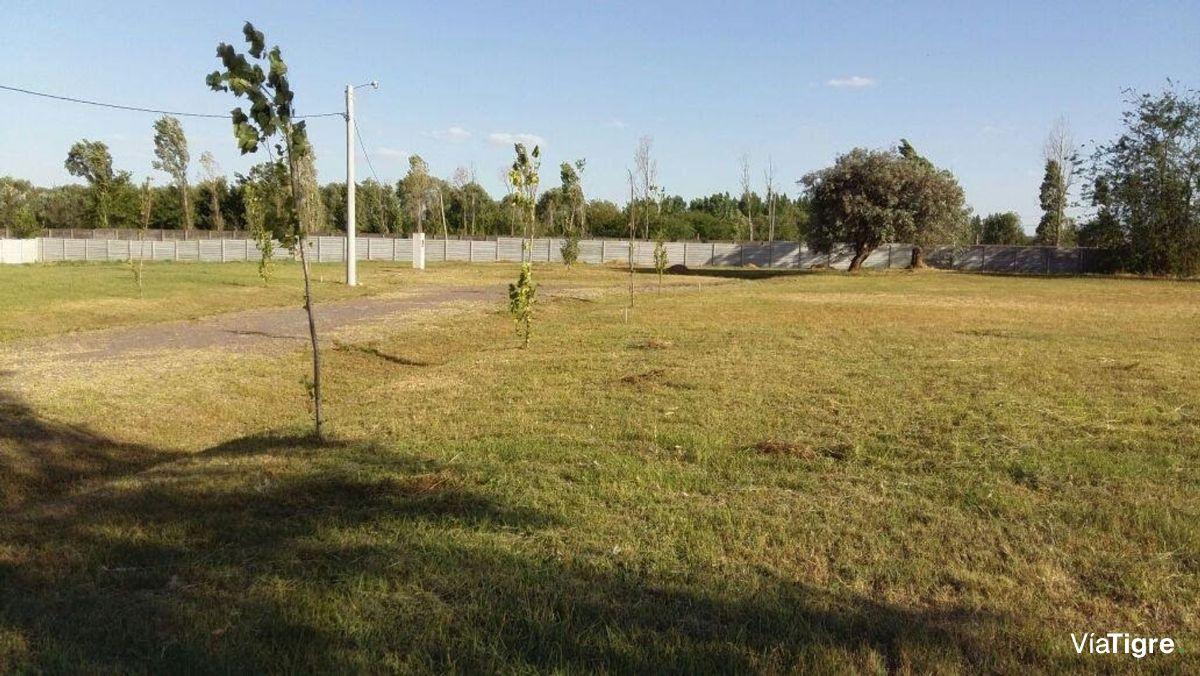 Foto de LOTE EN VENTA 740 metros BARRIO EL ALAMO BENAVIDEZ, imagen 2