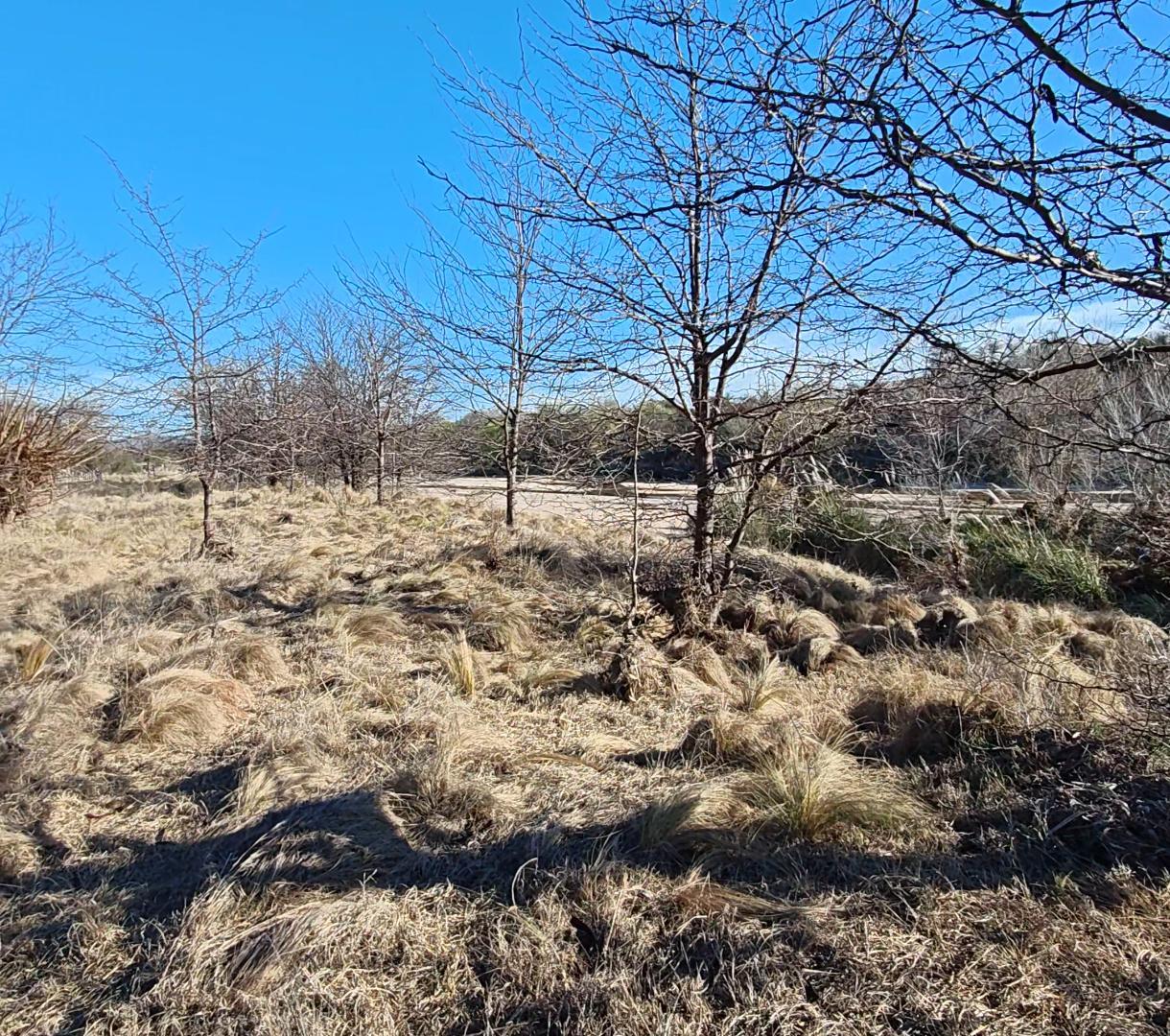 Foto de 4 Lotes en Nono — Costa de Río · Frente a Ruta — Se venden separados o, imagen 4